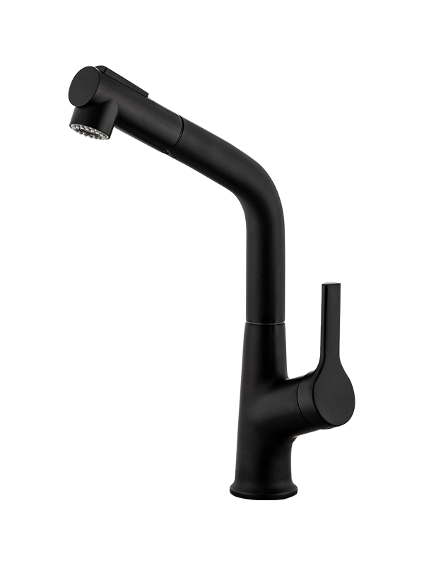 Matte Black Pull Out Spray Kitchen Faucet